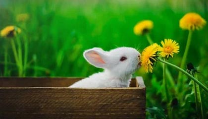 宿州伴游,定制QQ:3494206190微信:act1322